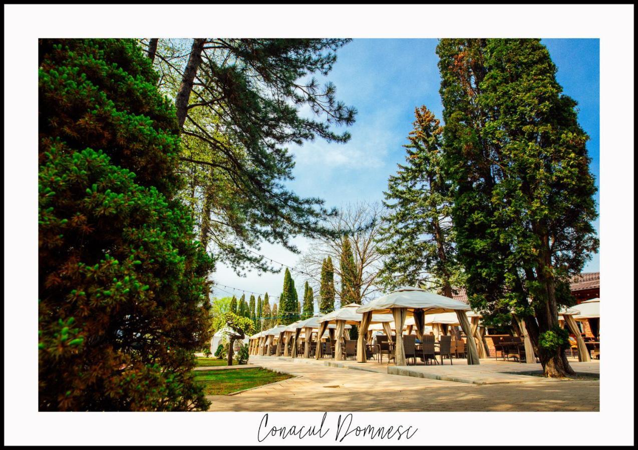 Conacul Domnesc Hotel Scheia Exterior photo