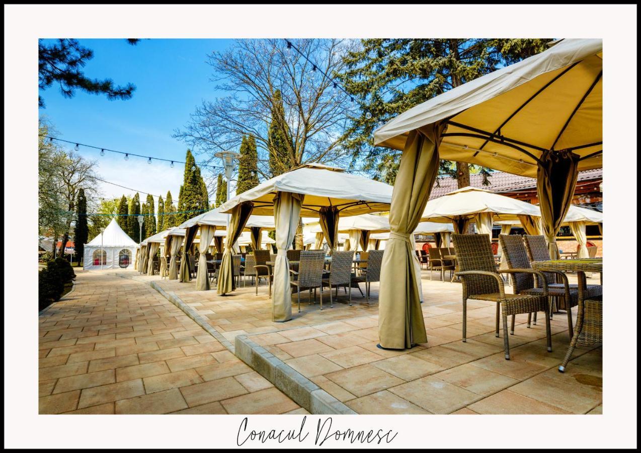 Conacul Domnesc Hotel Scheia Exterior photo